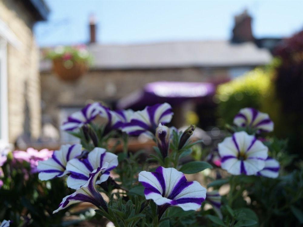 The Plough Bicester Exterior photo
